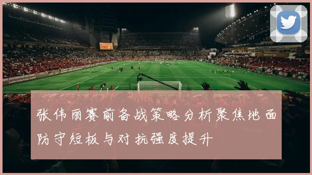 张伟丽赛前备战策略分析聚焦地面防守短板与对抗强度提升