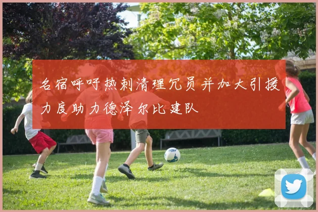 名宿呼吁热刺清理冗员并加大引援力度助力德泽尔比建队